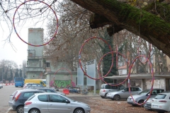 Un insolito albero di Natale