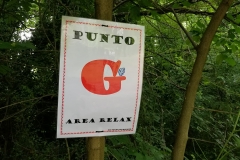 Chi cerca trova