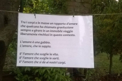 Errare tra le piante del garden Bejaflor