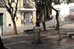 Lettori in corso