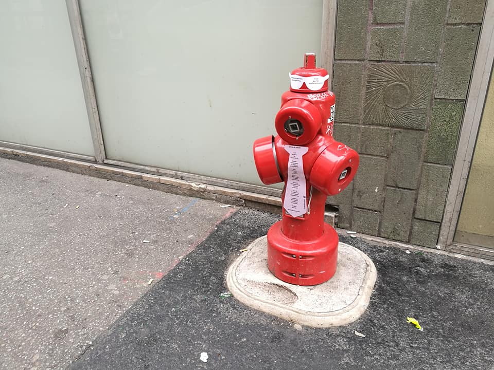 Hypporobot