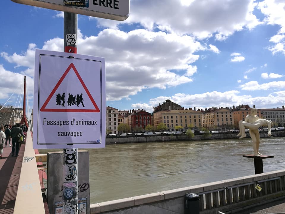 Ponte diurno