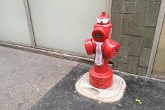 Hypporobot