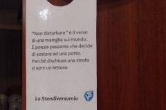 Esplicazione poetica