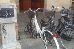 Reggio Emilia 2