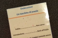 sommario