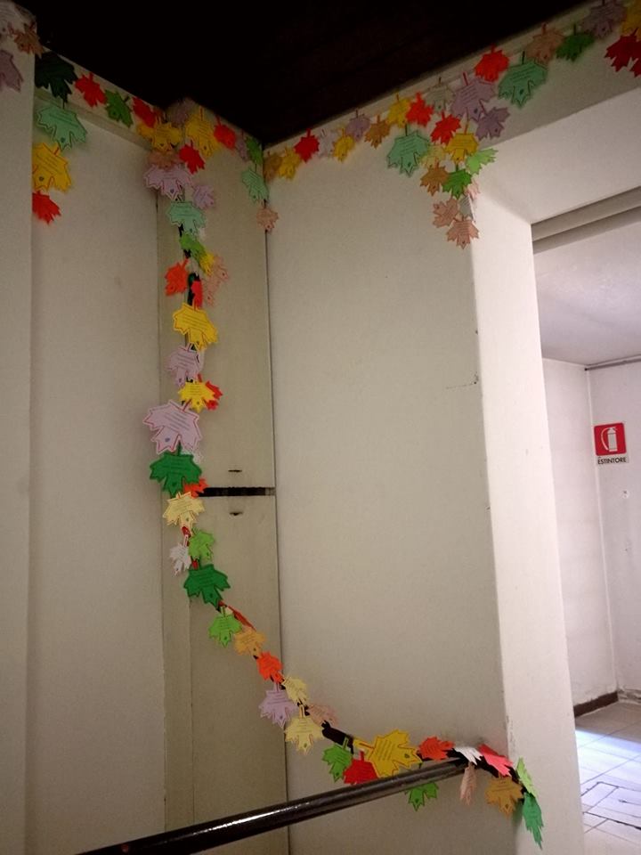 CTS e l'ingresso