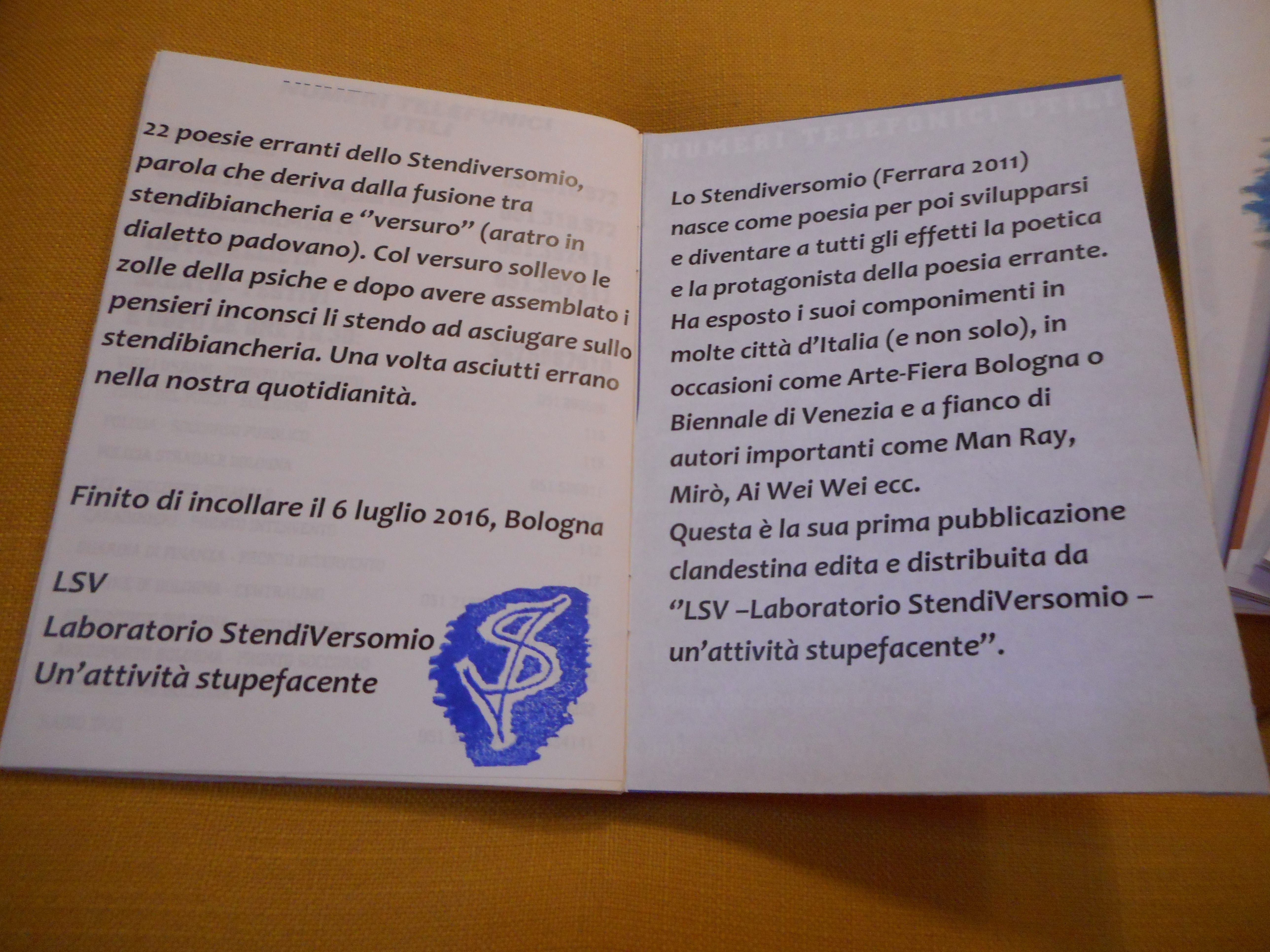 Poesia sfusa ed esplicativa