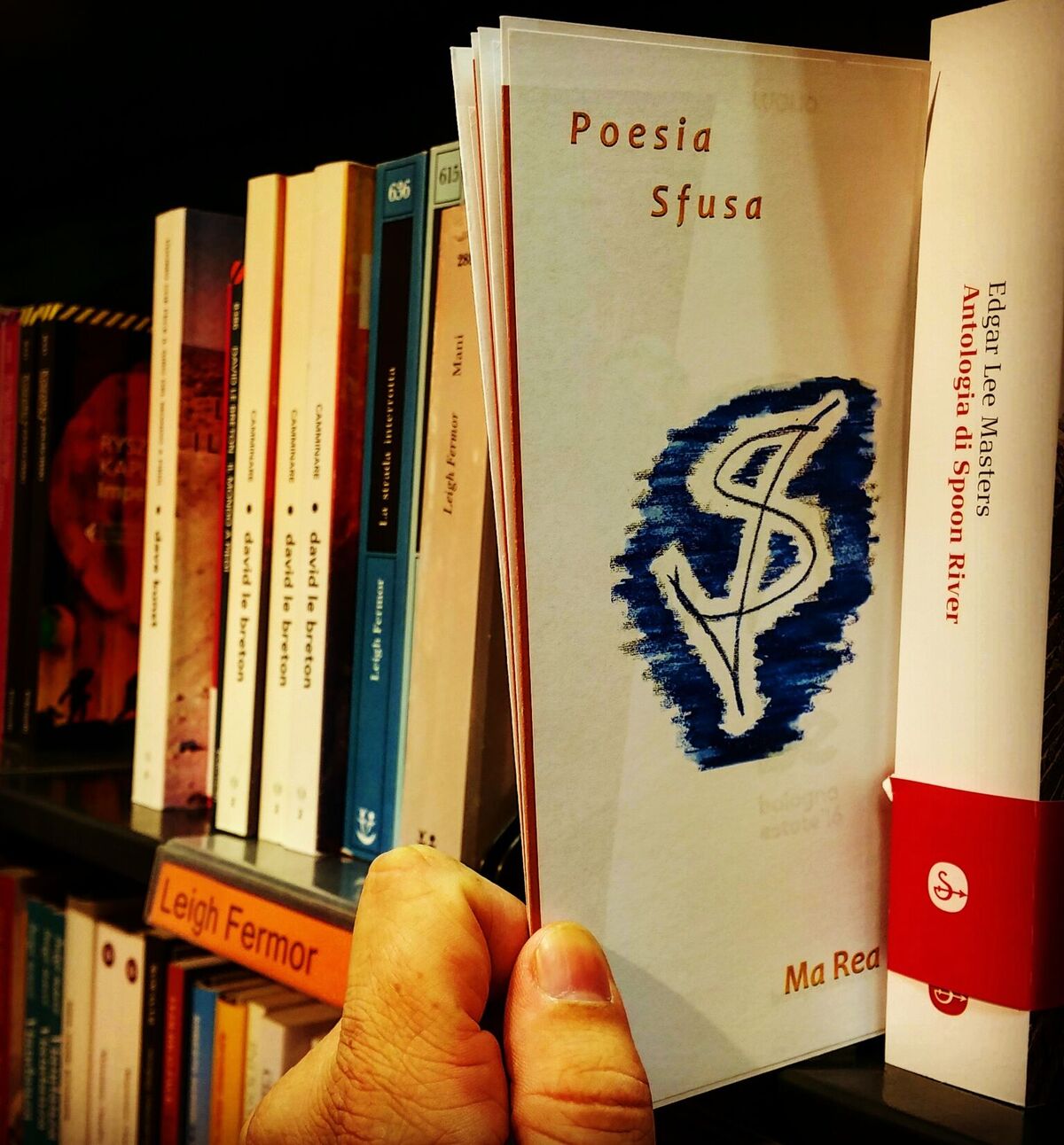 feltrinelli Trieste