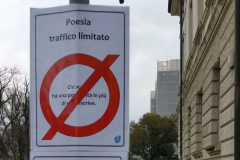 Prospettive trevigiane a fine versi