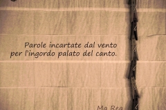 Parole-incartate-dal-vento
