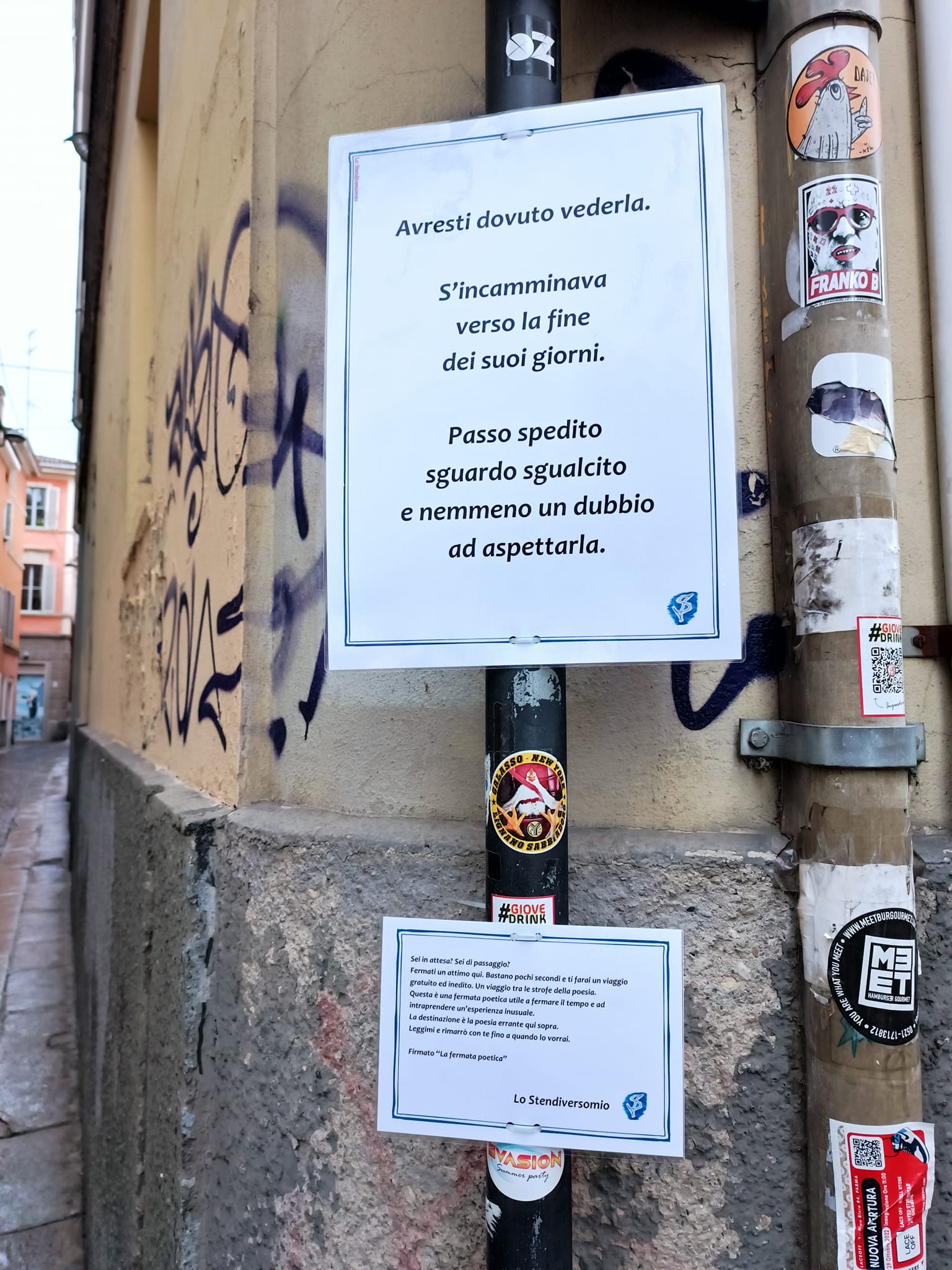 Avresti proprio dovuto