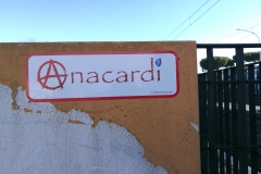 Anacardi a Centocelle