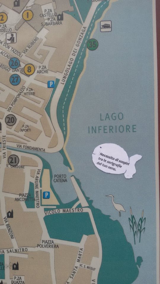 Lago inferiore errante