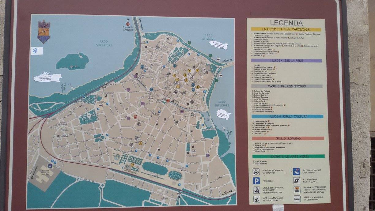 Mantova a pinna libera