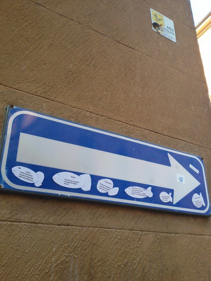 Surgelamenti scongelati reggiani 2