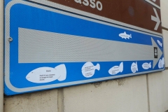 In direzione estense e contraria