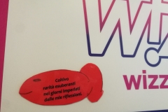 Scongelamenti aeroportuali di Otopeni