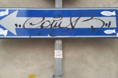 Surgelamenti scongelati mantovani parte 2