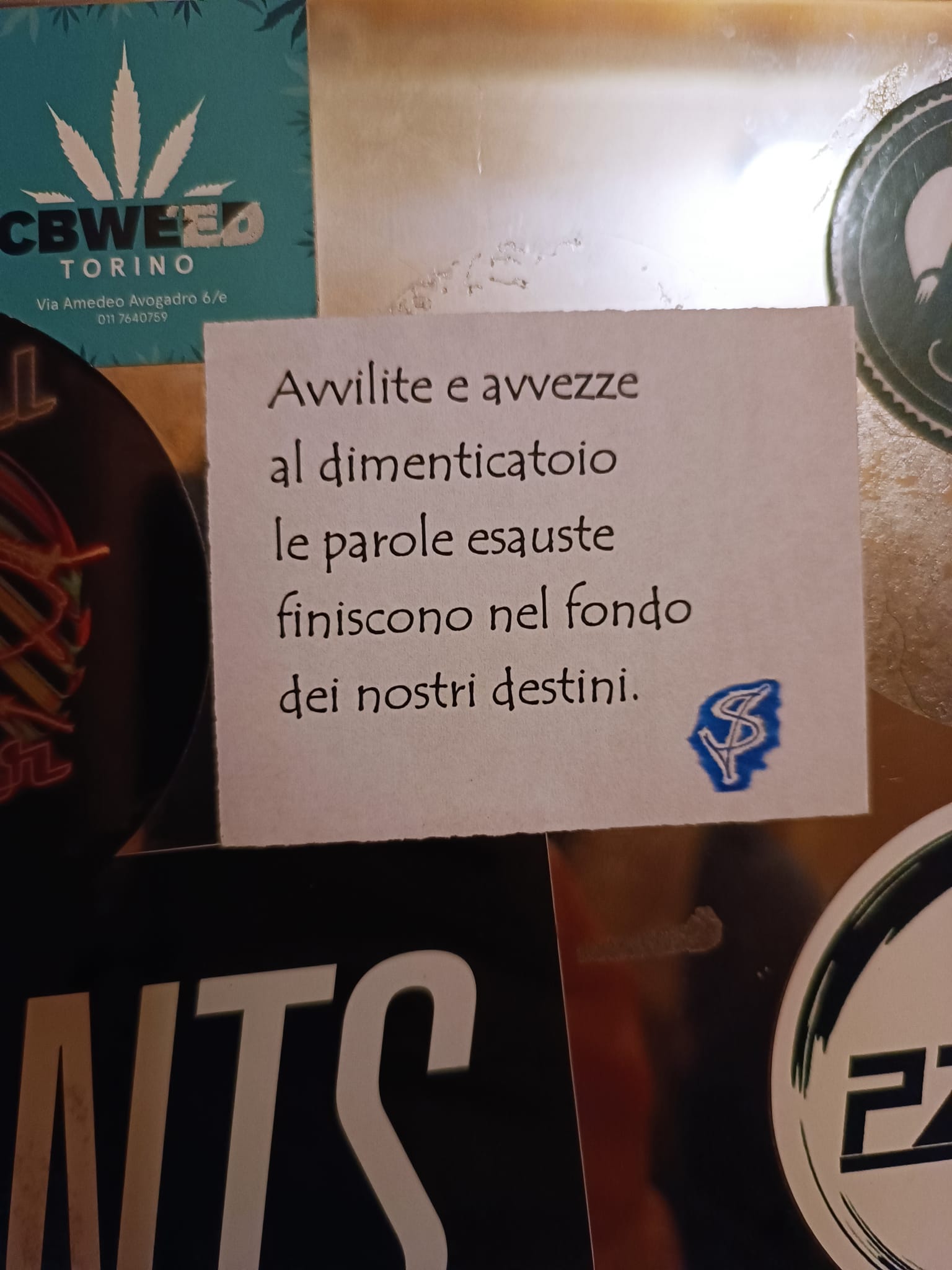 Avvilite