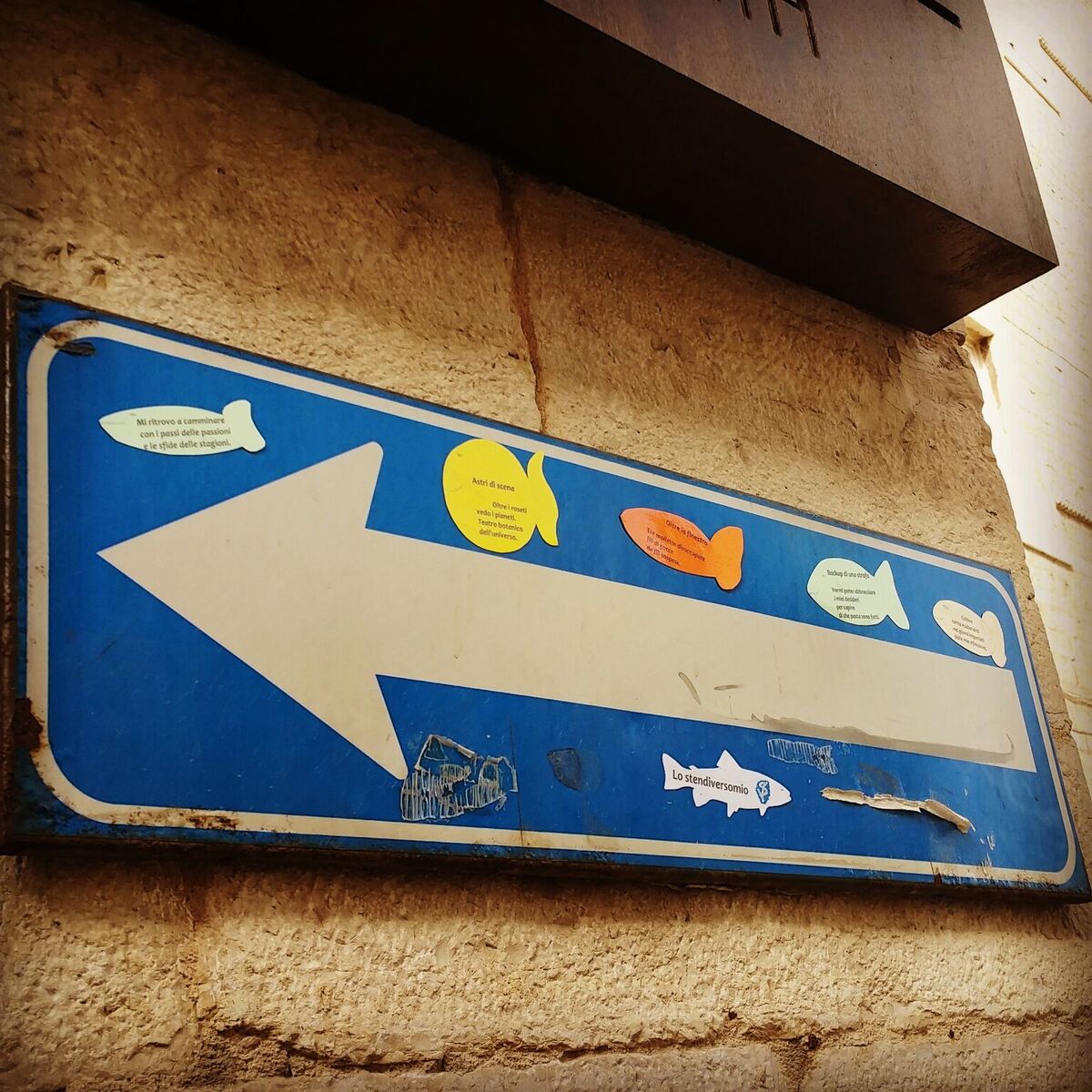 Surgelamenti scogelati