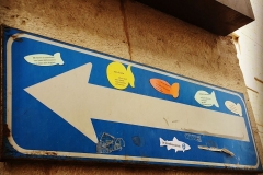Surgelamenti scogelati