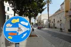 Surgelamenti scongelati