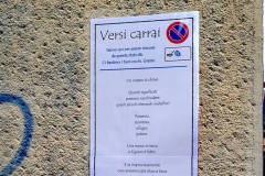 Versi carrai