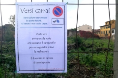 La malinconia secondo i Versi Carrai