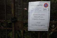 La zona rimozione