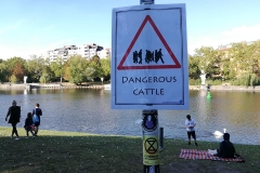 Very dangerous