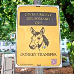 Donkey transfer – Ma Rea