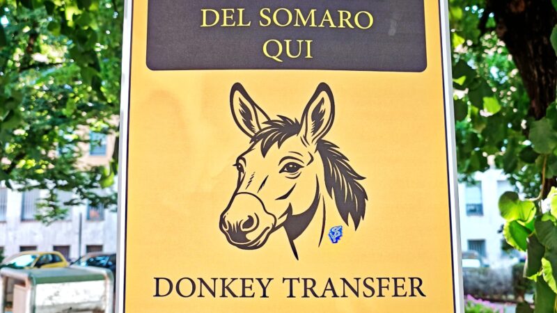 Donkey transfer