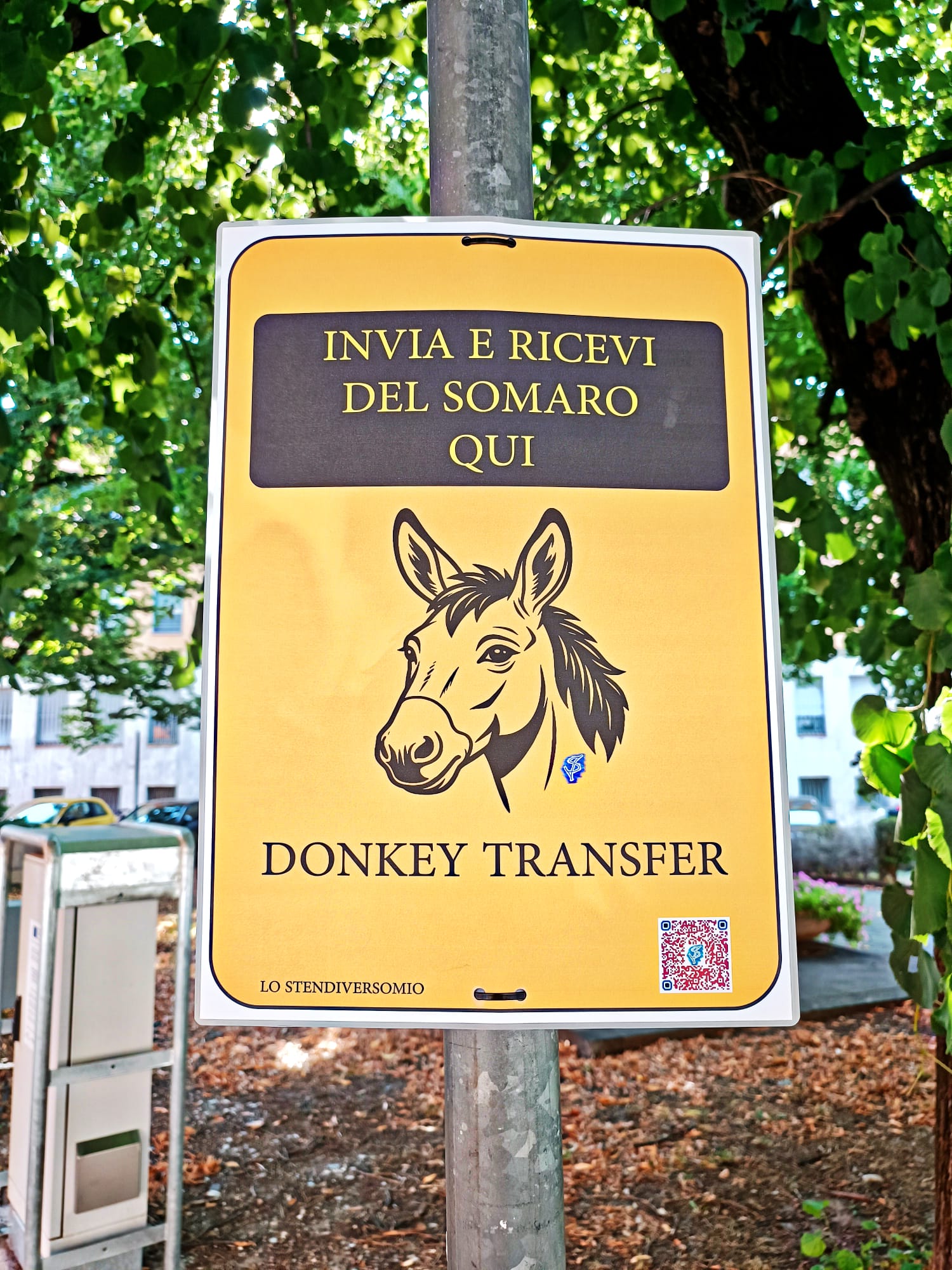 Donkey transfer