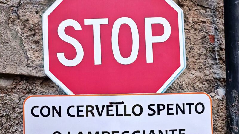 Moniti contemporanei