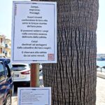 Strofe erranti dal Cilento – Ma Rea