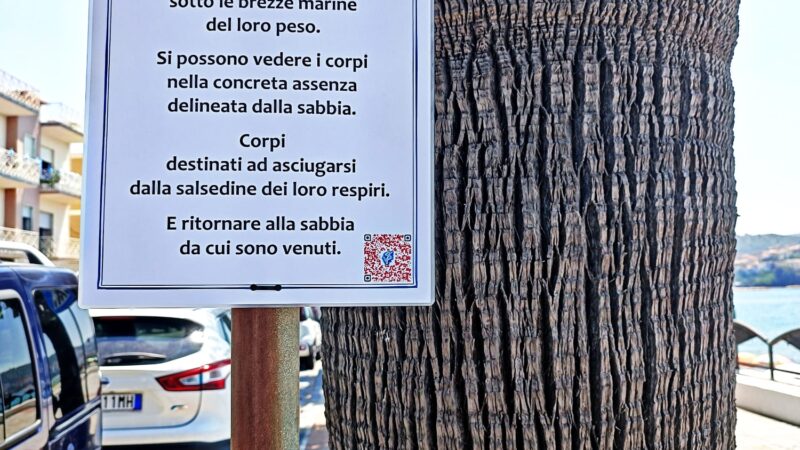 Strofe erranti di mare dal Cilento