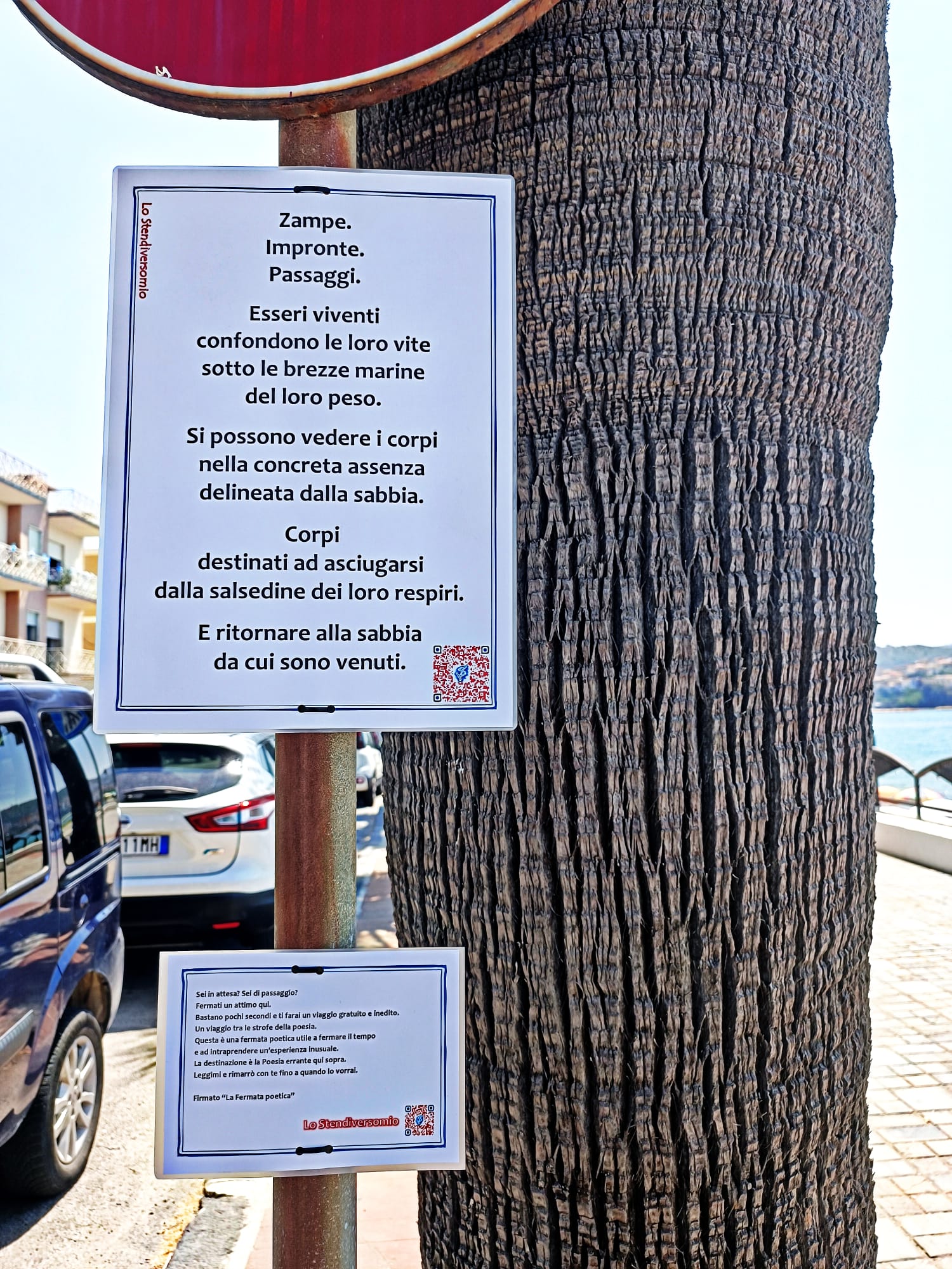 Strofe erranti di mare dal Cilento