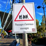 Dangers: Paris