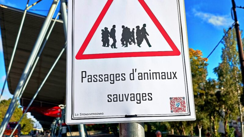 Dangers